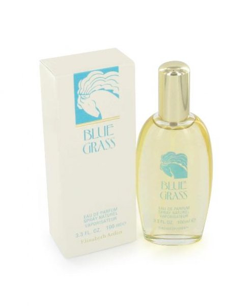 Blue Grass by Elizabeth Arden 3.3 oz EDP for Women